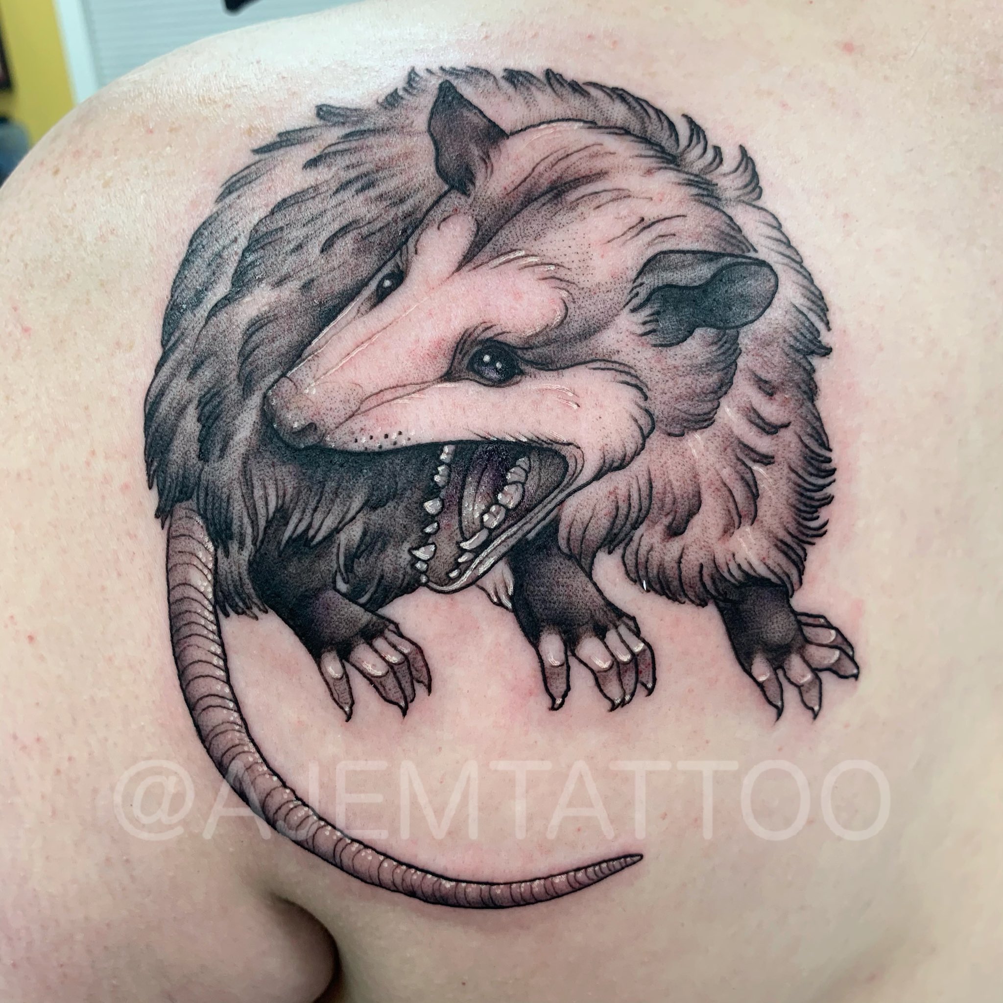 Skin City Ink Blackwork Scream at own ass Opposum Facebook #9 Skin City Ink Blackwork Scream at own ass Opposum Facebook