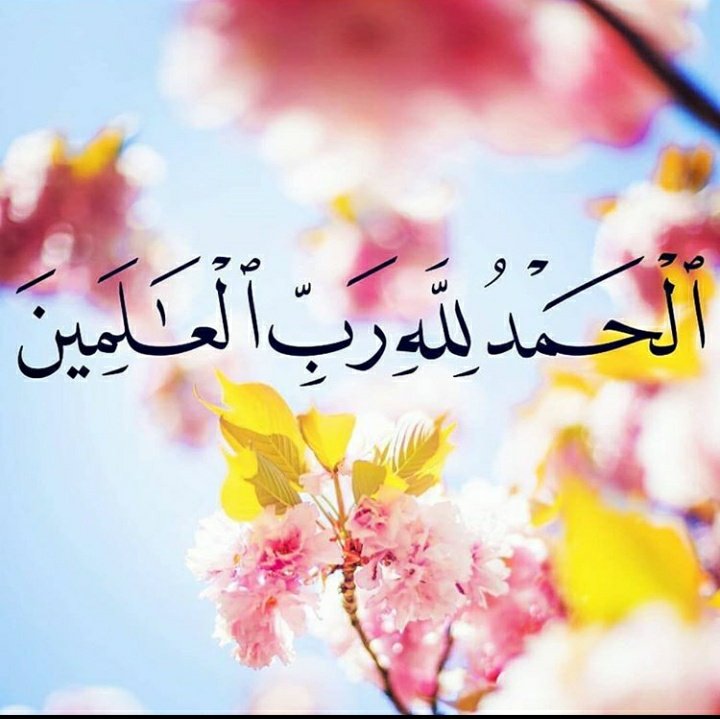 Bright_Diamon's tweet photo. يا خير الحافظين احفظني واحفظ عليا صحتي واكفني ما أهمني واصرف عني برحمتك شر ما قضيت بحولك وقوتك يارب
ولك الحمد من قبل ومن بعد حتى ترضى

أستغفر الله العظيم من كل ذنب عظيم وأتوب إليه ، 
أسنغفر الله العظيم من كل ذنب عظيم وأتوب إليه ، 
أستغفر الله العظيم من كل ذنب عظيم وأتوب إليه ، https://t.co/Wz1XT5H2Va