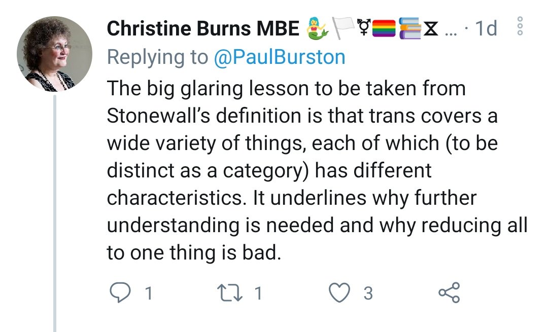 Christine Burns 2021: putting everything together into one umbrella term is bad, and something Stonewall came up with themselves