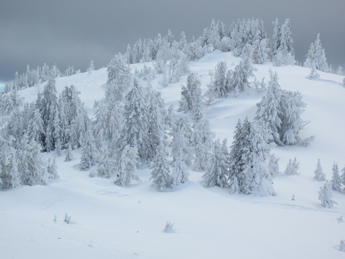 pentictonpost's tweet photo. ❄️100cm fresh snow since Tues. for a good ski in the highlands. . . .Down in the valley there's no snow to be seen . . .   #perfectwinter  #greenmountain  #okanaganlake #marina #gottaloveit 💙 https://t.co/IjvkZ0LBvJ