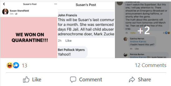 Oh, no! Vancouver's loathesome, delusional, QAnon-addled liar Susan Standfield has had pretty-much all of her brainworm-infested Facebook pages suspended. But, kids, she's still active on Insta, so... H/T:  @HugsMasks