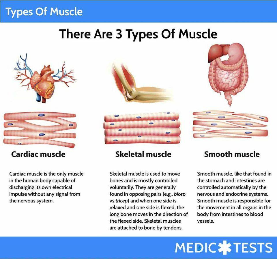 medictests's tweet photo. https://t.co/R2o7YH5TjQ
