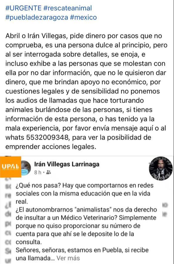 HELA_MORE's tweet photo. 🔴URGE AYUDA🔴 Exigimos a las autoridades de #Puebla actuar en contra de esta persona que lucra y extorsiona con los animales. Pide apoyo económico y si no lo recibe ¡HACE LLAMADAS TELEFÓNICAS TORTURANDO A LOS ANIMALES!, ha desaparecido a varios desde 2018. https://t.co/YNtZi0eu5A