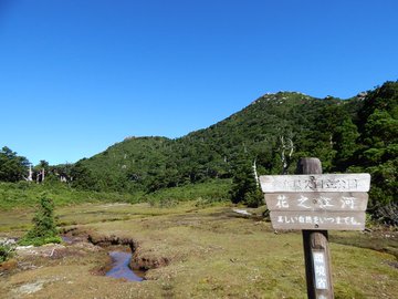 花之江河