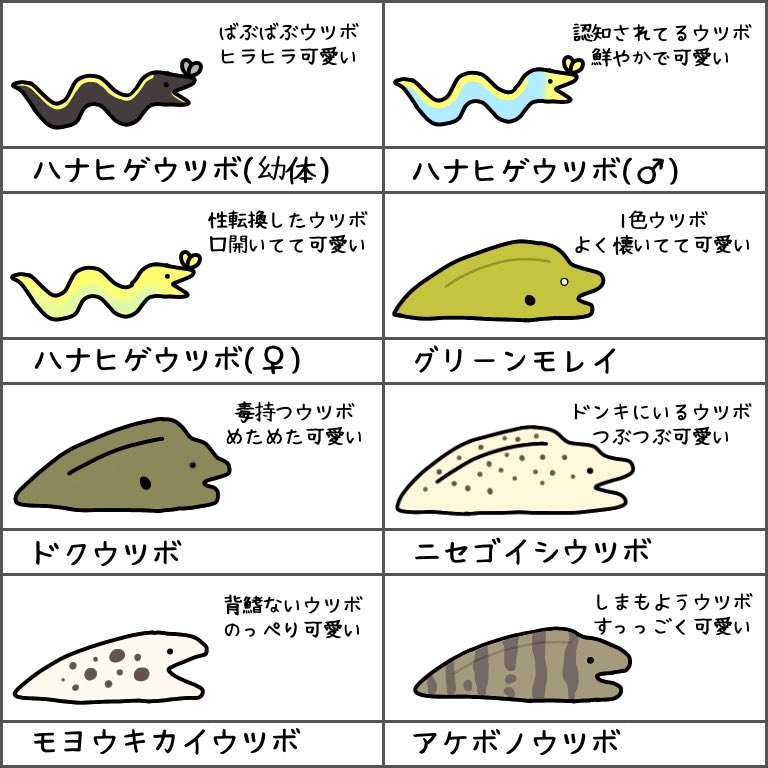 れれれ これでフォロワーさん増えました ウツボ一覧表 ウツボの可愛さ広められたの嬉しい れれれ これでフォロワーさん増えました ウツボ一覧表 ウツボの可愛さ広められたの嬉しい