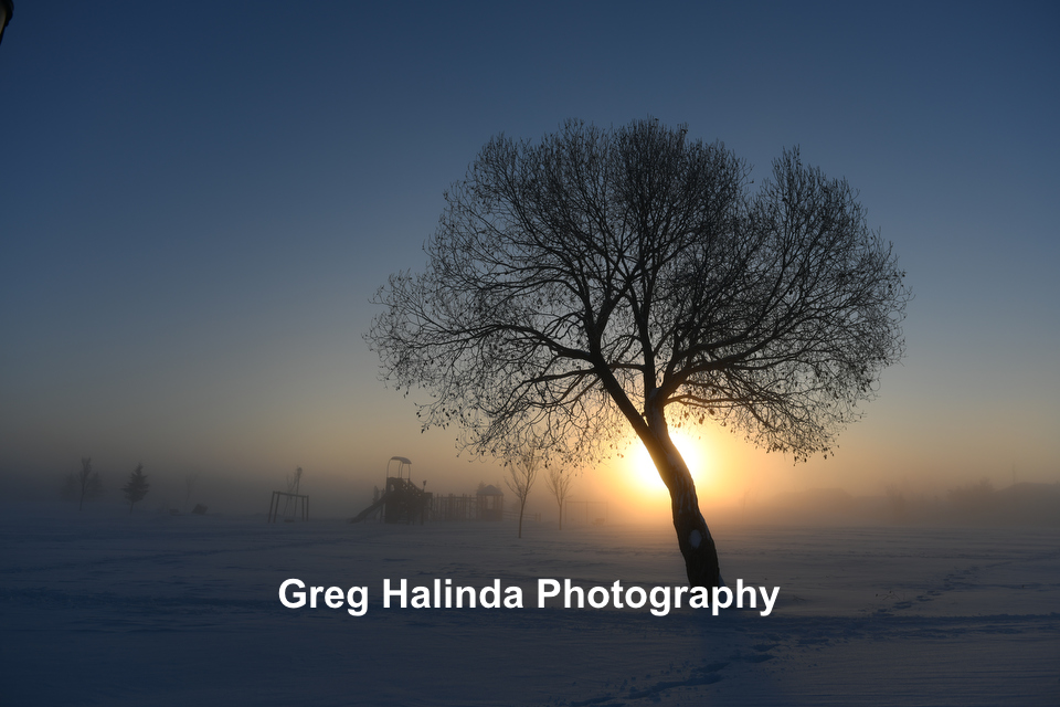 Greg Halinda tweet media