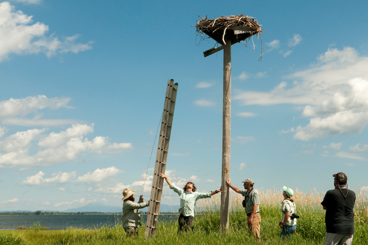 “I learn as much from each of my students as they might from me. It is continuously amazing to see the accomplishments of all of our raptor biology students once they leave Boise State, as many have gone on to be science and government leaders in their own right.” 4/7 #BoiseState