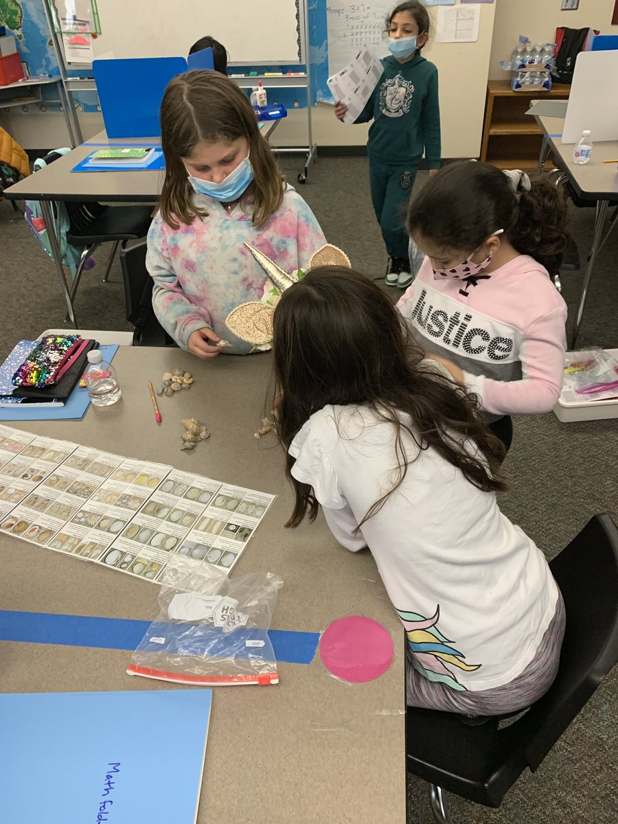Identifying Sea Shells of Texas