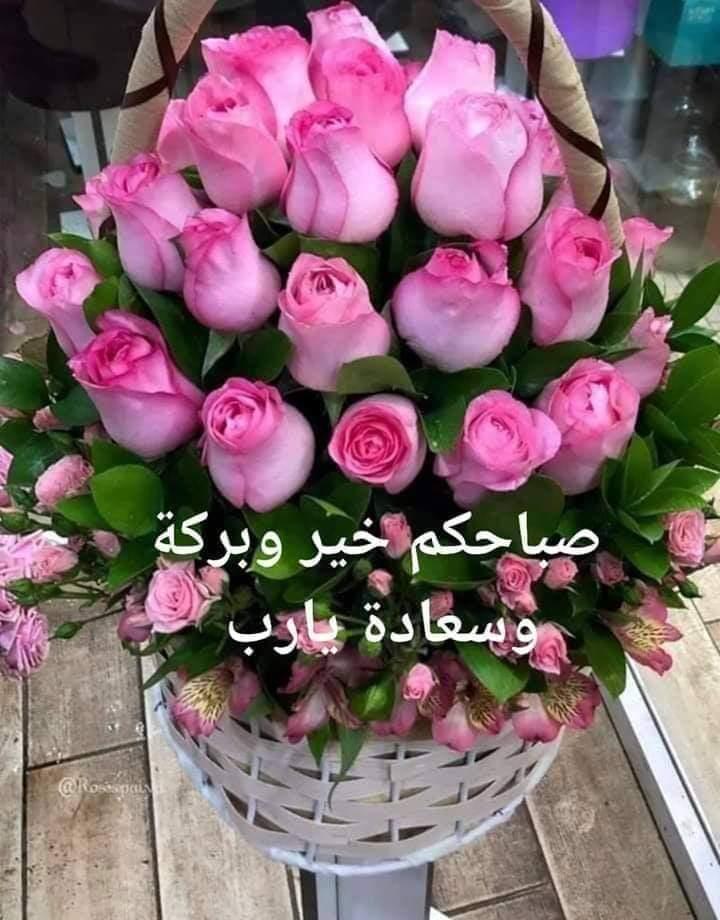 همسة حنين tweet media