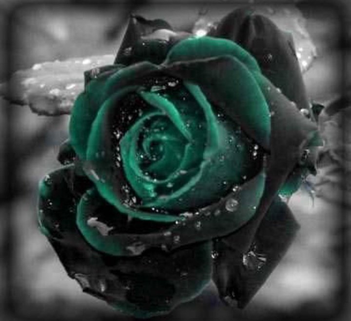 Serve Justice To SSR... ROYAL 