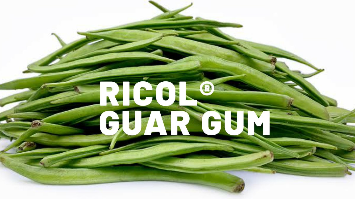ramagum93's tweet photo. Ricolยฎ Guar Gum powder, We have successfully achieved the target to be the No.1 exporter of Guar Gum from india #Bestexporter2020 #2020qualityaward #guargum #gomaguar #fenugreekgum #cassiagum #spices #Turmeric #guarproducts #ramagum #largestexporter https://t.co/7HC4ia2N9q