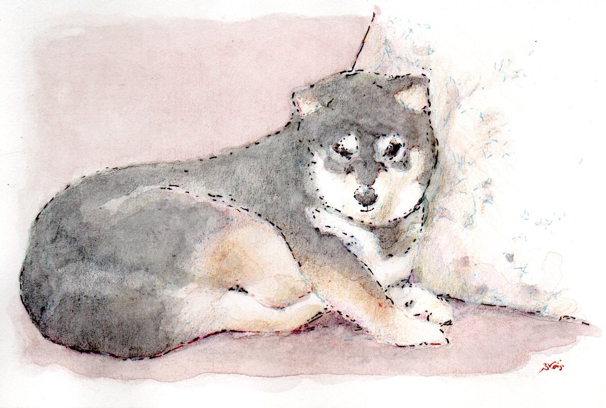 ペットイラストレーター