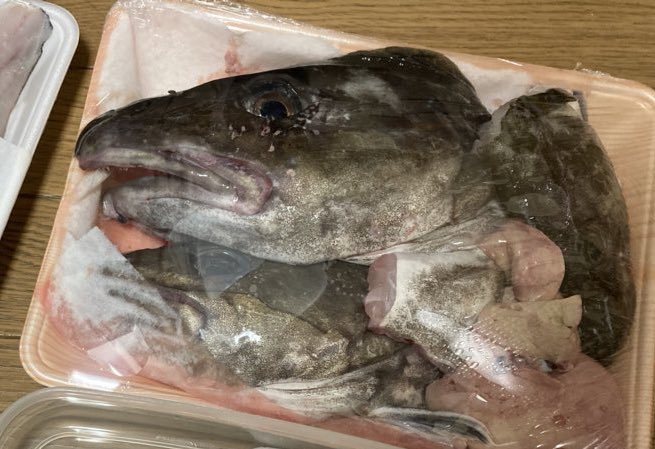 タラのtwitterイラスト検索結果