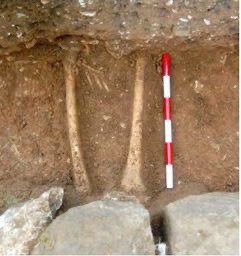 In 2015, a skeleton was found beyond the west wall of the church. Two femurs protrude, with hands clasped in front the the pelvis. These bones were radiocarbon dated to approximately 1050 - the very end of the era of Anglo Saxon rule, before the Norman Conquest of 1066.