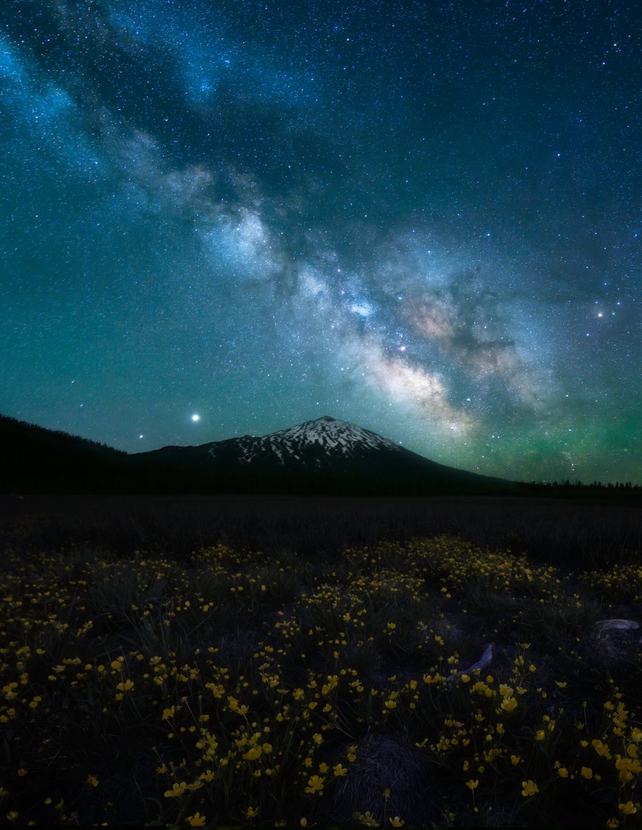 ryan_steele_mcg's tweet photo. Cosmic bliss in the Pacific Northwest https://t.co/GeOPsky0vj