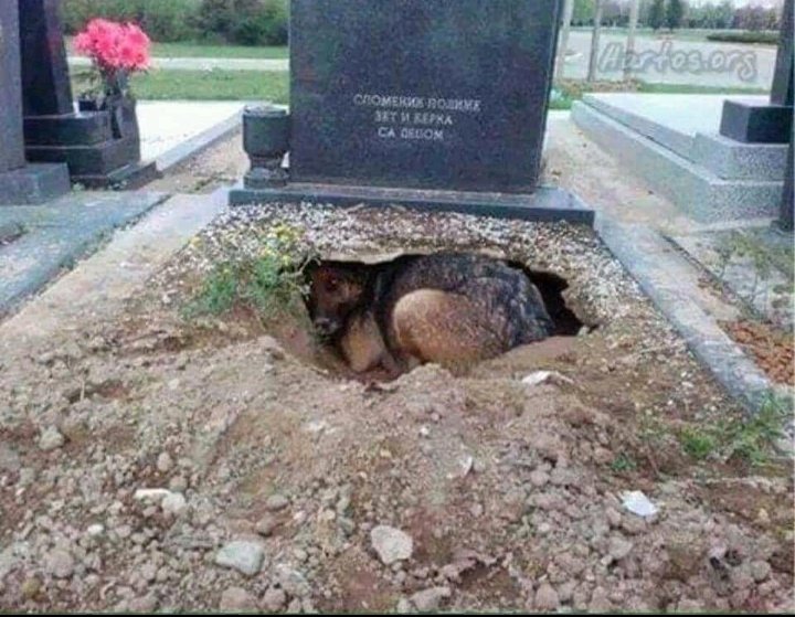 londoDudee's tweet photo. Que injusto que los que  aman de verdad  e incondicionalmente no puedan decir "Te Amo" https://t.co/AwX1IONCBD