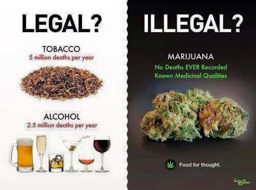 travisa850's tweet photo. #Legal #NotLegal #DoesntAddUpPpl
#SpreadGoodWordAboutHerb
#StonerFam #420Enthusiast #LetMyPplGrow #LetMyPplGo
👇 with the drink ☝️ with the stink
#OneLove #MuchLove #SmokeOut #TokeOut #NoRecordedODs #AndNeverWillBe #JustSteadyRollingTrees #MyMindsAtEase #KushSmokeInTheBreezePlz https://t.co/4RTbgQGl9D