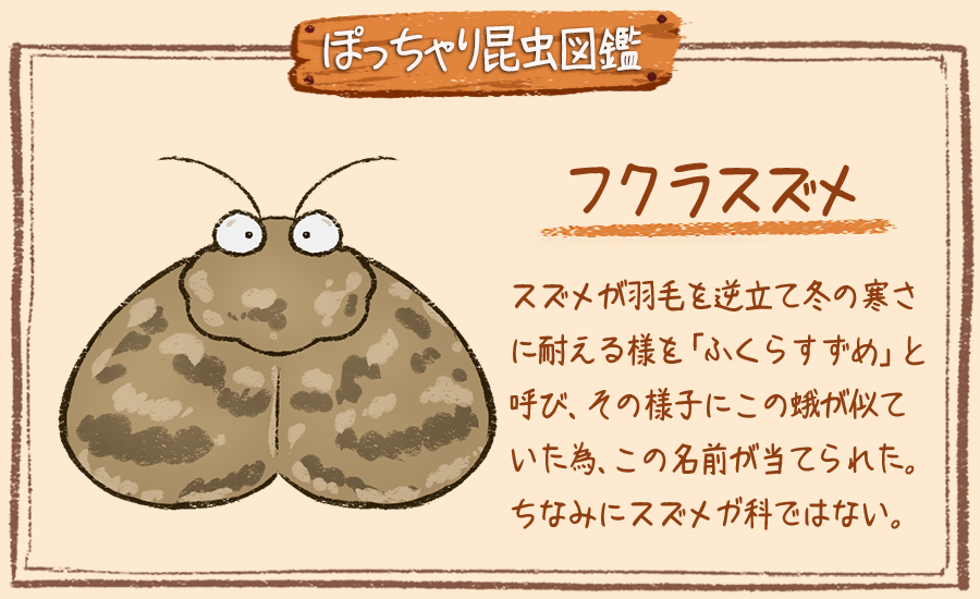 ぽっちゃり昆虫図鑑 略してぽちゃこん ぽっちゃり昆虫図鑑 No 173 フクラスズメ ぽっちゃり体型の昆虫イラストを毎日描いています 今日はスズメっぽい蛾 フクラスズメです 昆虫 イラスト Illustration 蛾 雀 1日1絵 一日一枚絵 絵描き