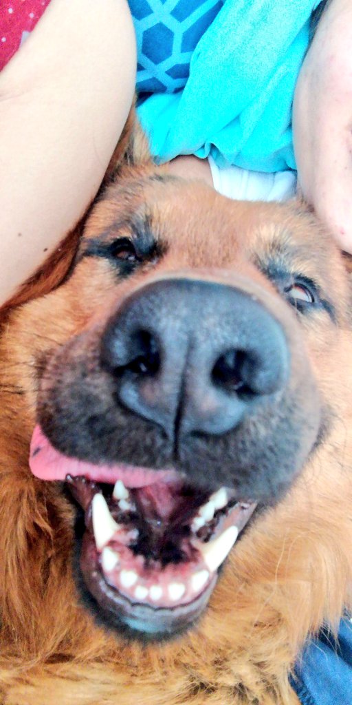 PAGV04's tweet photo. TE AMAMOS DANTE. https://t.co/e5faF0p1Cf