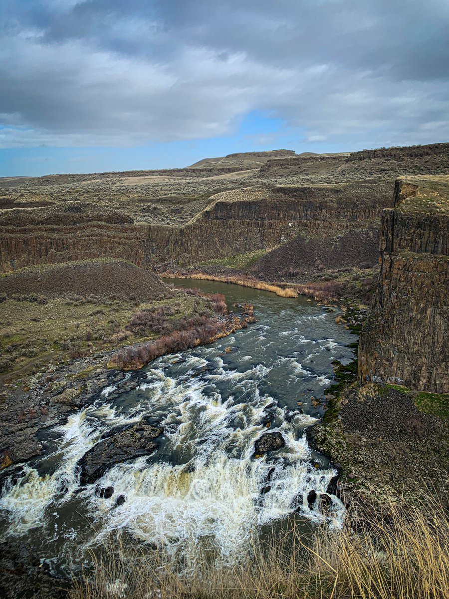 Kati_Explores's tweet photo. Palouse Falls State Park 🤎
#PNW #WashingtonState https://t.co/7eucZLjCkm