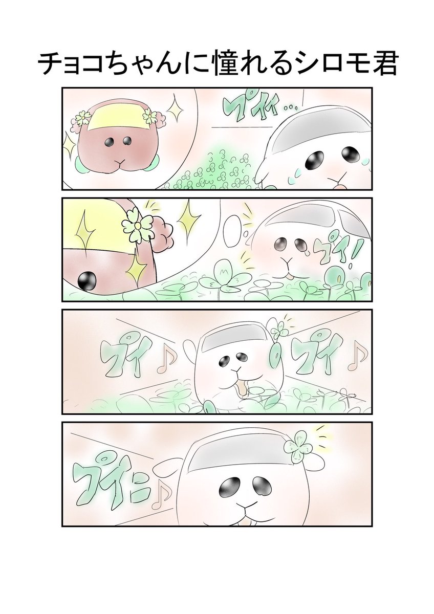 チョコちゃんに憧れるシロモ君
#モルカー #漫画 #1日1漫画 #イラスト #落書き #漫画が読めるハッシュタグ 