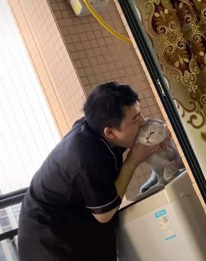 ulat_bulu_bulu's tweet photo. Nobody :

Cat owners : https://t.co/GBa7eeuwdO