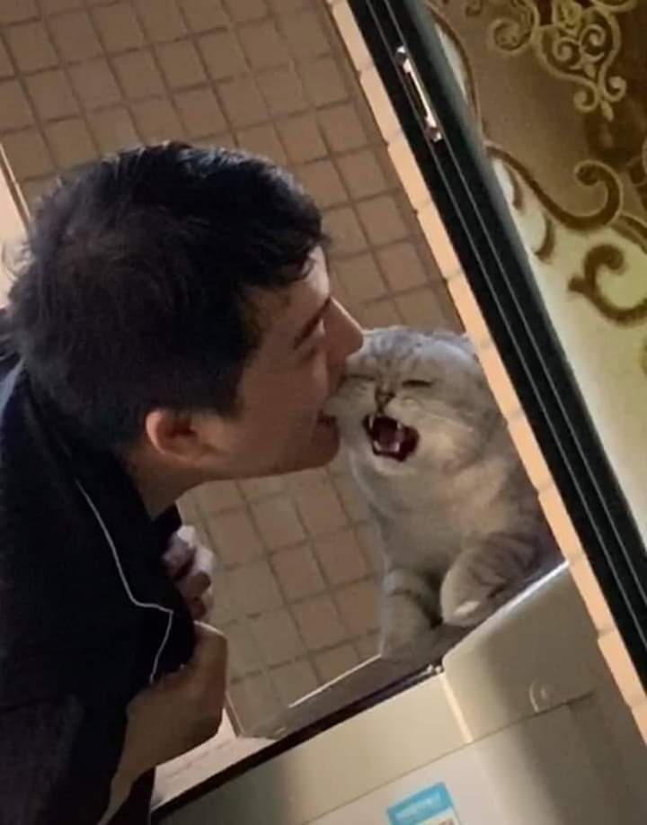 Nobody :

Cat owners :