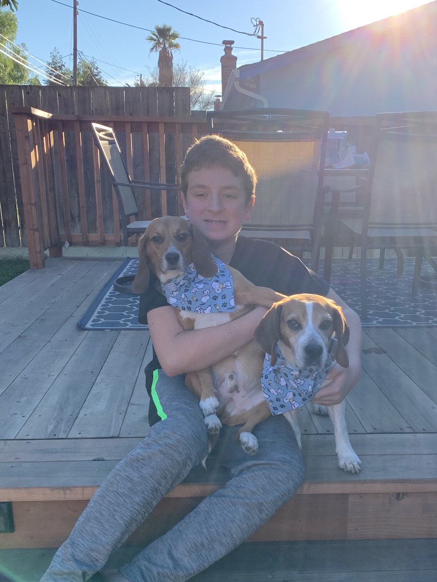 asher_laneybfp's tweet photo. We are twinning in our fancy new bandanas and hanging with our hoobro. 🐶🐶❤️ #beagle #beaglefreedomproject #twinning #lookingfancy #wecute #dogsoftwitter https://t.co/OX1f01SceA