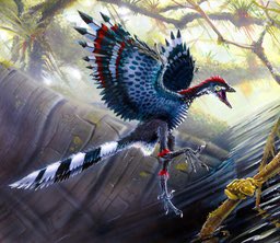 始祖鳥のtwitterイラスト検索結果 始祖鳥のtwitterイラスト検索結果