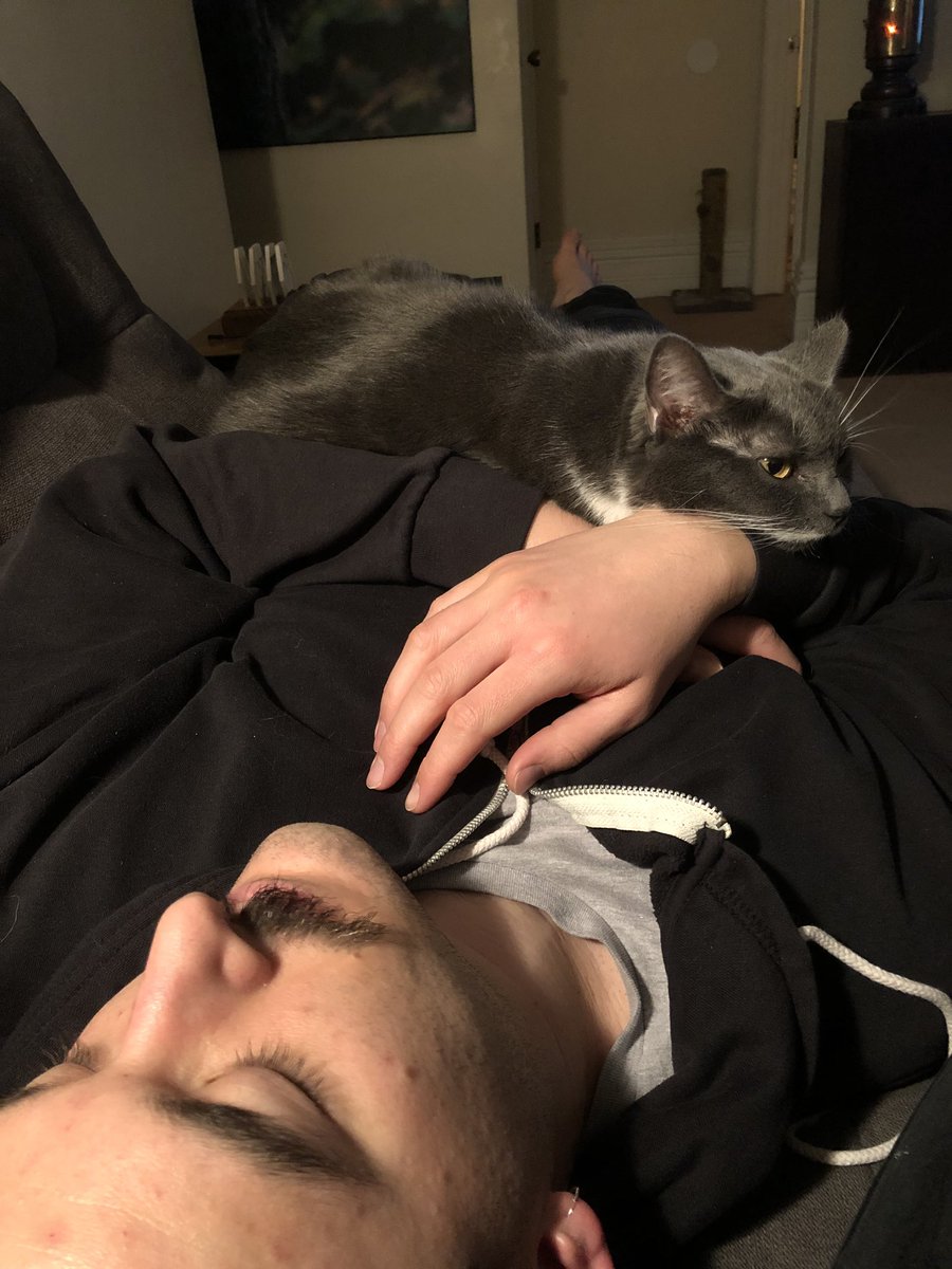 ShredxVelvet's tweet image. 🥰