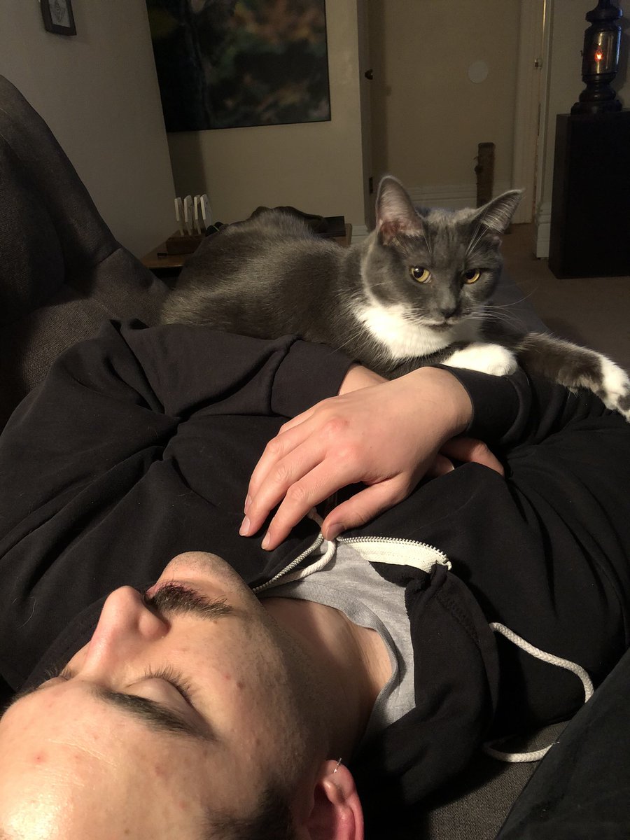 ShredxVelvet's tweet image. 🥰