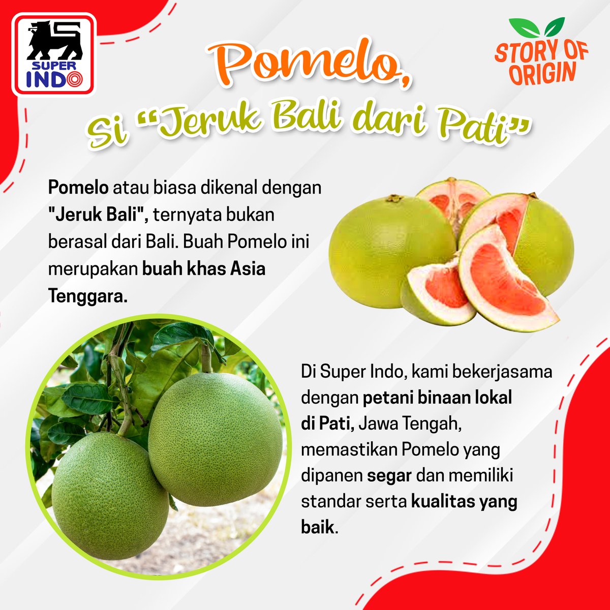 InfoSuperIndo's tweet photo. Di #storyoforigin kali ini minda bahas buah Pomelo yang tersedia di Super Indo semuanya segar dan berkualitas baik.
Ada yang udah makan pomelo dari Super Indo? Share ke minda di kolom komentar ya!
#SuperIndo #SuperSegar #SuperHemat #SegarnyaHemat #Pomelo #JerukBali https://t.co/RnWps3LRHD
