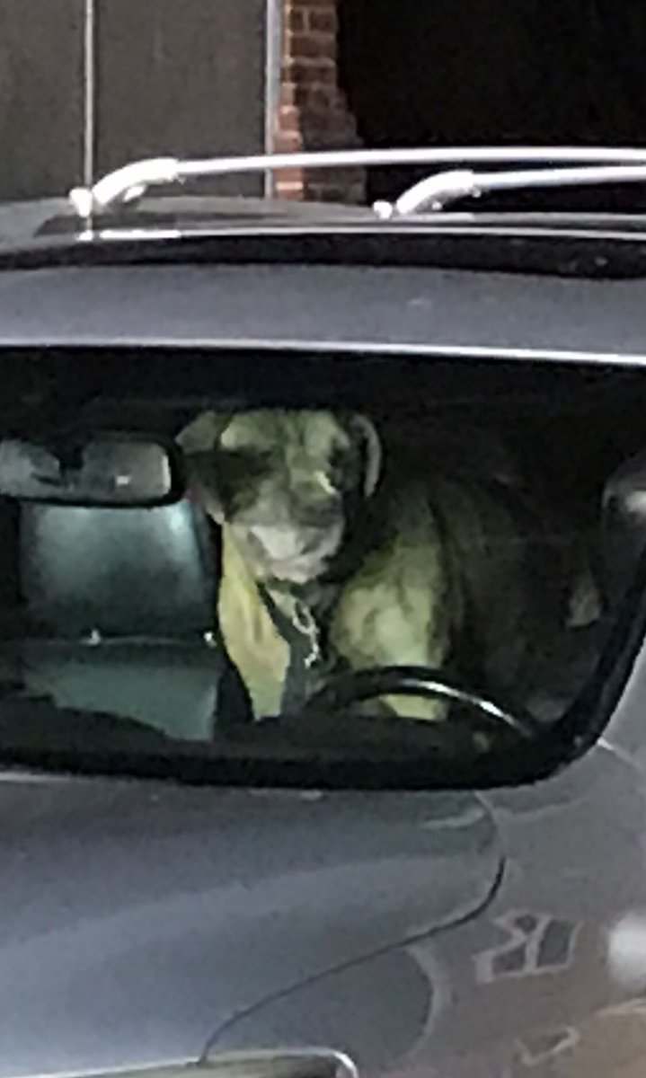 PGFDNews's tweet photo. Approx 10:56pm, #PGFD units were dispatched to 4800 blk of Towne Park Rd in Suitland for a house fire. Upon arrival, crews found smoke showing from front door of a 2-story single-family home. Fire located in basement. Crews removed one dog from the house; provided oxygen. (More) https://t.co/os7GCOcrlG