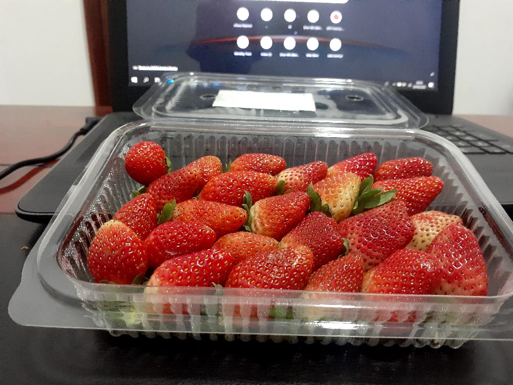 IrriHub's tweet photo. Agribusinesses owned by Kenyan Youths
Thread.. 

Let's support our own 💪🏿

Company: Jaick Agricultural Produce
Specialisation: Strawberry farming
Location: Mountain Mall Thika road
Contact: 0723146885
https://t.co/e4WhNLm9SW
@JaickProduce

#KOT #agriculture #SundayThoughts https://t.co/nlJAHkSnjW