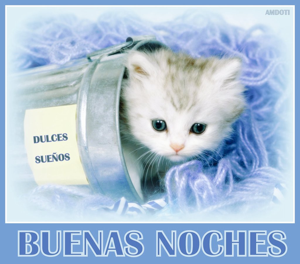 Nicky Rey on Twitter: Nicky Rey on Twitter: