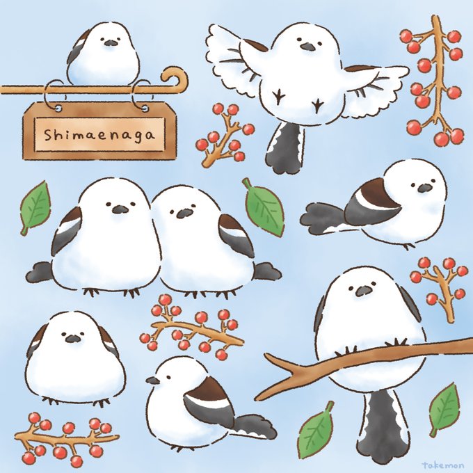 シマエナガ 高画質 のtwitterイラスト検索結果 古い順