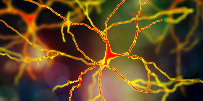 THEMMEXCHANGE's tweet photo. Cannabis and Autism -- A Complex Pairing 

https://t.co/i1guPYbiLl  #MME #marijuana #cannabis #medicalmarijuana #Autism https://t.co/7mqSSnjDOM