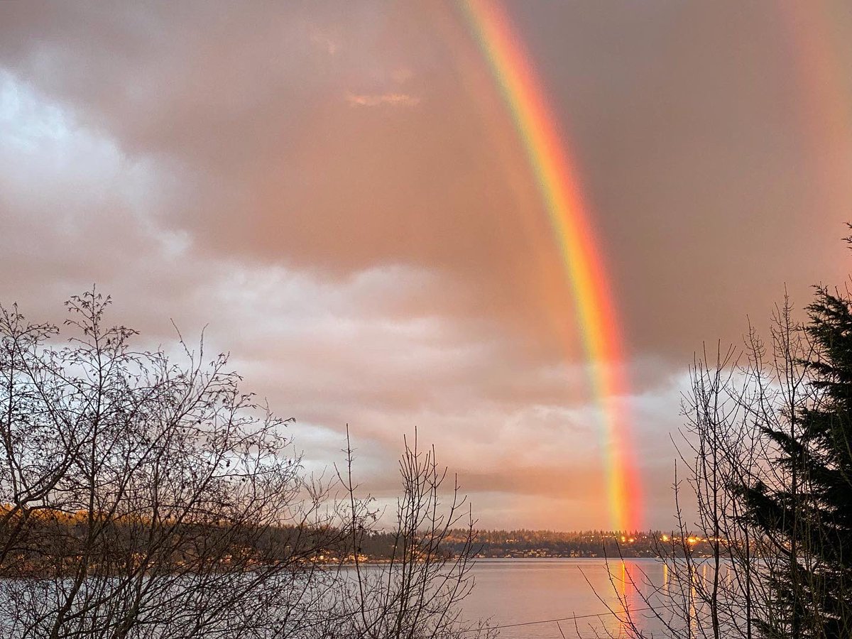 gregeppich's tweet photo. Spotted the Gay Space Laser over Lake Washington tonight. https://t.co/YB3QmtxQMO