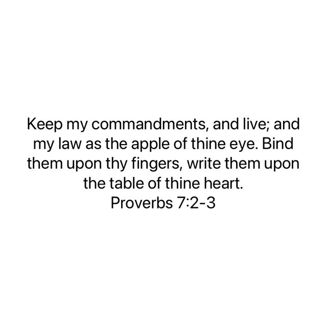FBC_Today's tweet photo. “Keep my commandments, and live; and my law as the apple of thine eye. Bind them upon thy fingers, write them upon the table of thine heart.”
Proverbs 7:2-3 KJV
Do whatever it takes to remember and obey the Word of God https://t.co/auMLbQNHVI