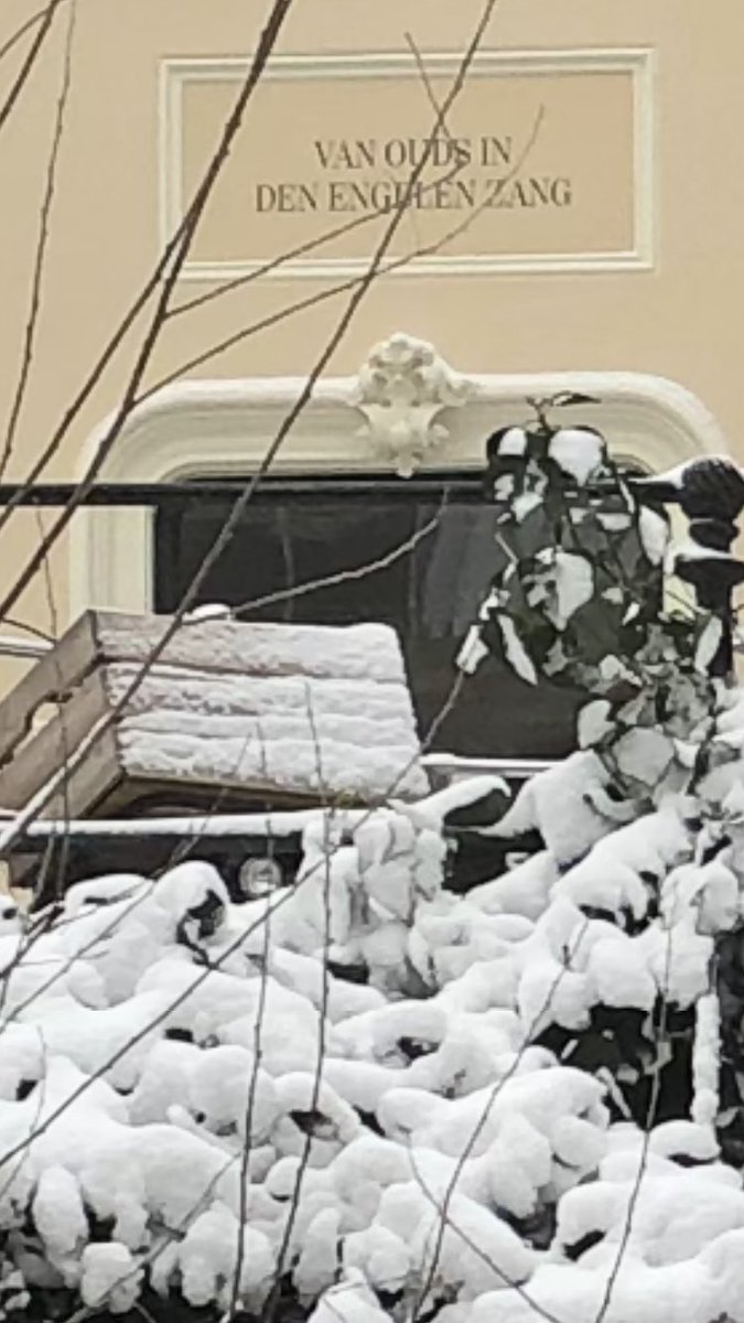 Victor van Hooijdonk (@victorhooijdonk) on Twitter photo 