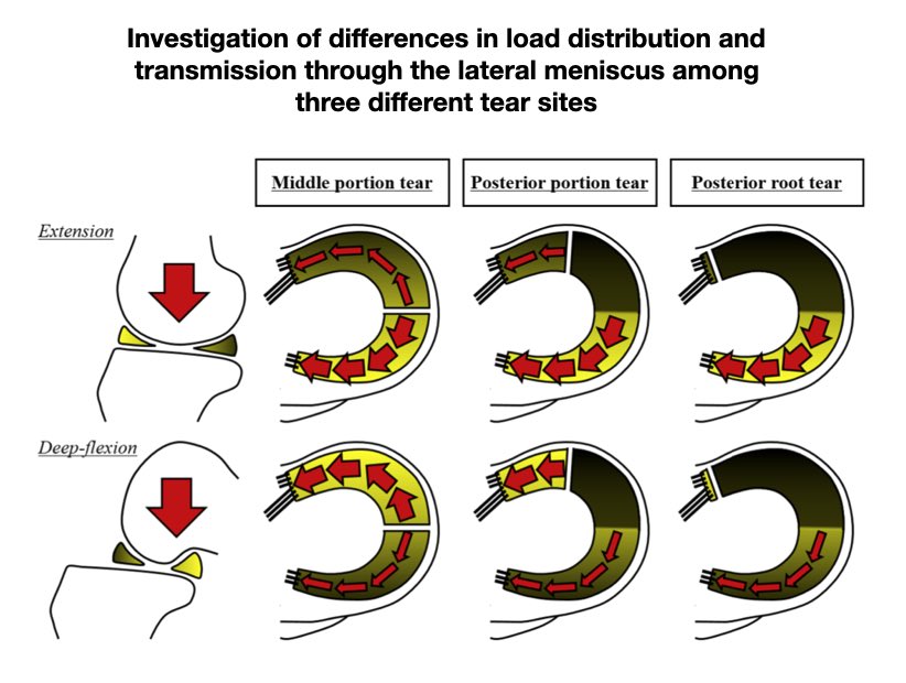 James Cruickshank (mrjcruickshank) Twitter