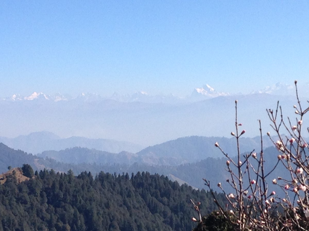 LI_SouthEast's tweet photo. still time to book for our Sat Feb 20 event at 11 am exploring ecosystem restoration with a focus on the Himalayas with Dr Shalini D. of IUCN-CEM https://t.co/KnLPeFbNll https://t.co/6wRKxjq1Jx