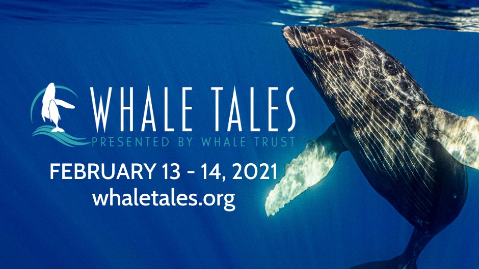 Whales play a huge role in the regulation of the ocean ♻️

Join @WhaleTrustWhale next week for the virtual #WhaleTales2021 and hear from an amazing line-up of #cetaceanscientists! 📢

Don't miss out! Register now 👇
whaletales.org