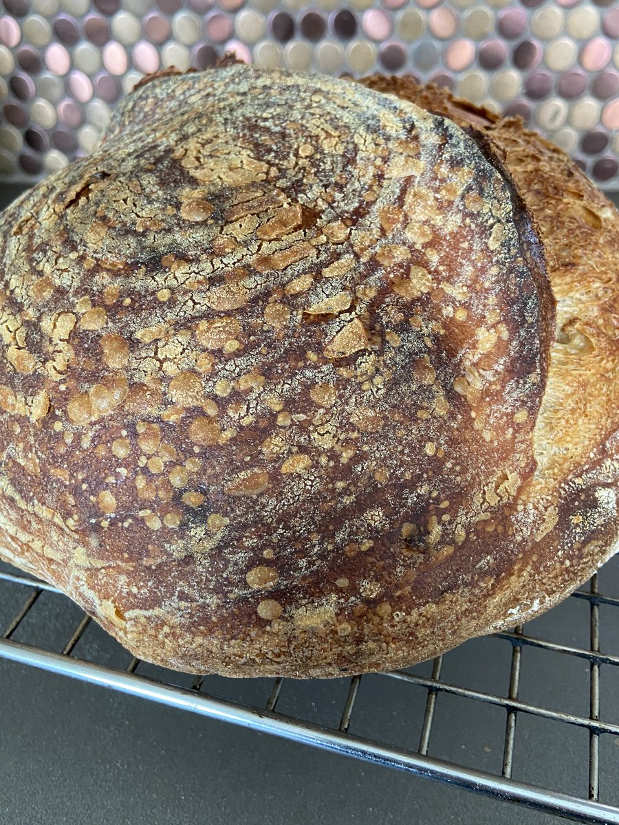 Paul Buckey tweet media