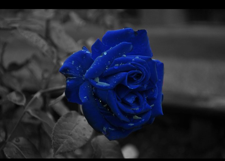 Serve Justice To SSR.......