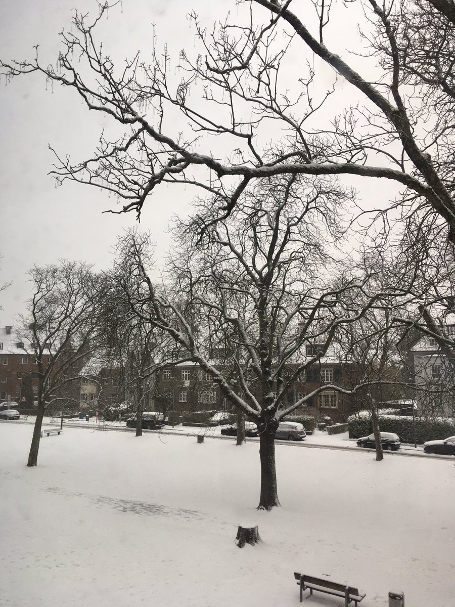 munichchrix's tweet photo. #fieseriese wie die #bild titelt. Das nannte man früher #winter. Und alle waren erfreut und holten den Schlitten aus der Garage. Schöne #Aussichten. Heute wird daraus eine Katastrophe ... schade. https://t.co/7PleibnwkC