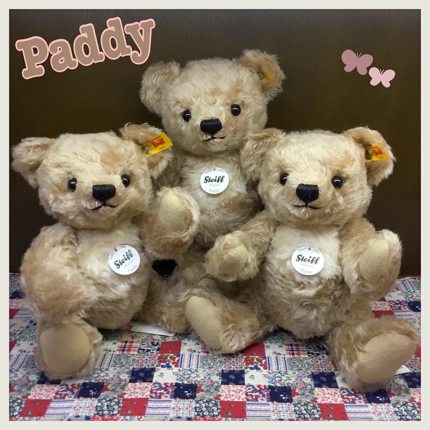 シュタイフ パディ