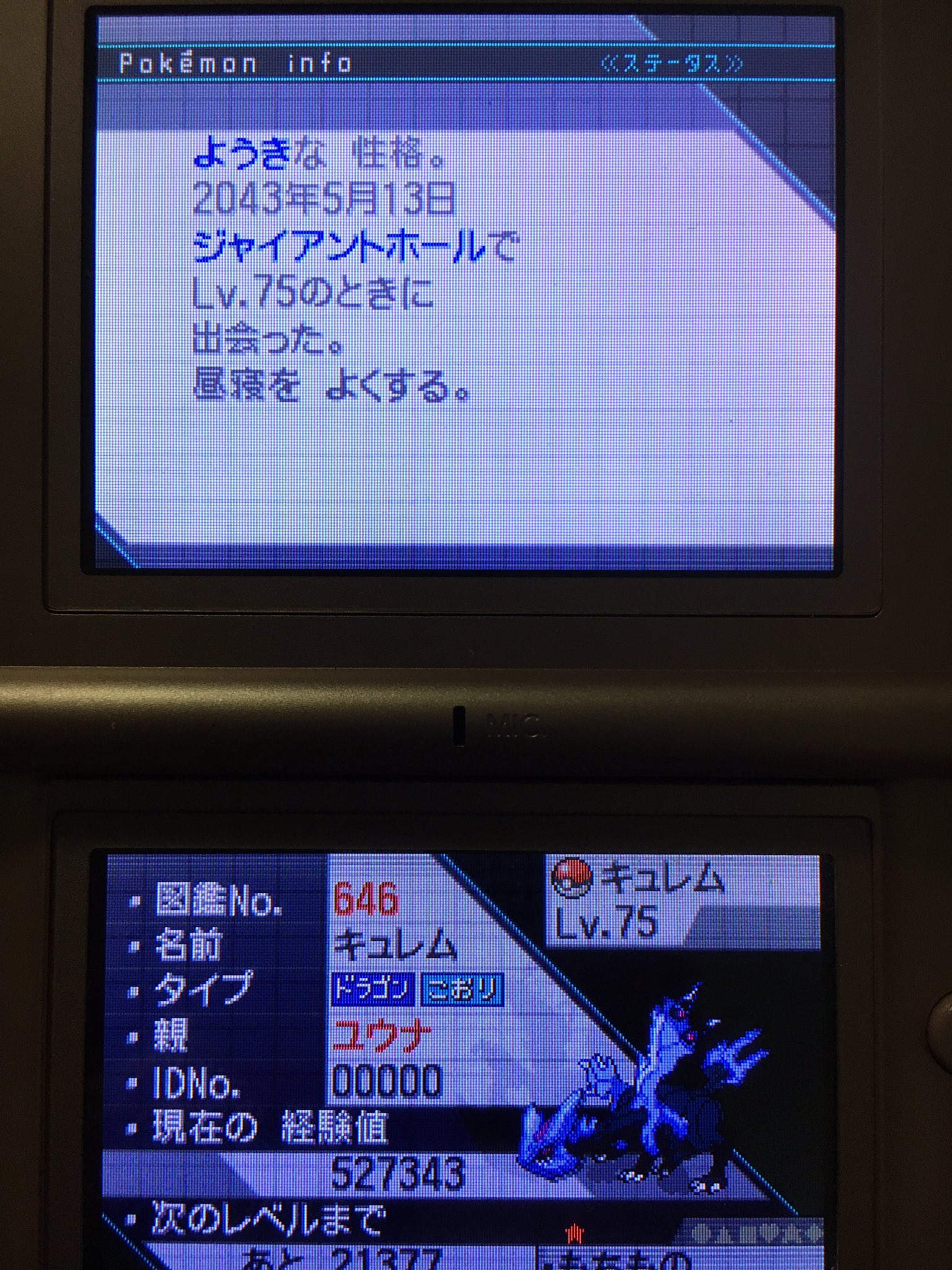 Bee あの日見た坂の上の景色を僕たちはまだ知らない 捕まえました 色違い陽気6vです ポケモン Bw 乱数調整 原種キュレムは技構成的に特殊が似合うポケモンですが ブラックキュレムは断然物理で使う方が安定するので ここは陽気にしました 確か Bee あの日見た坂の上の景色を僕たちはまだ知らない 捕まえました 色違い陽気6vです ポケモン Bw 乱数調整 原種キュレムは技構成的に特殊が似合うポケモンですが ブラックキュレムは断然物理で使う方が安定するので ここは陽気にしました 確か