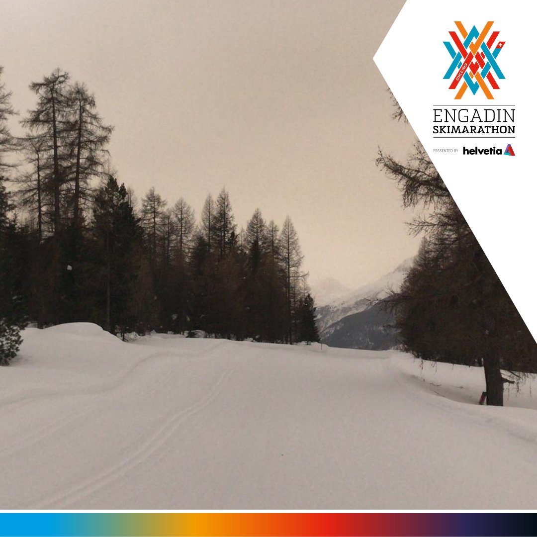 Engadin Skimarathon tweet media