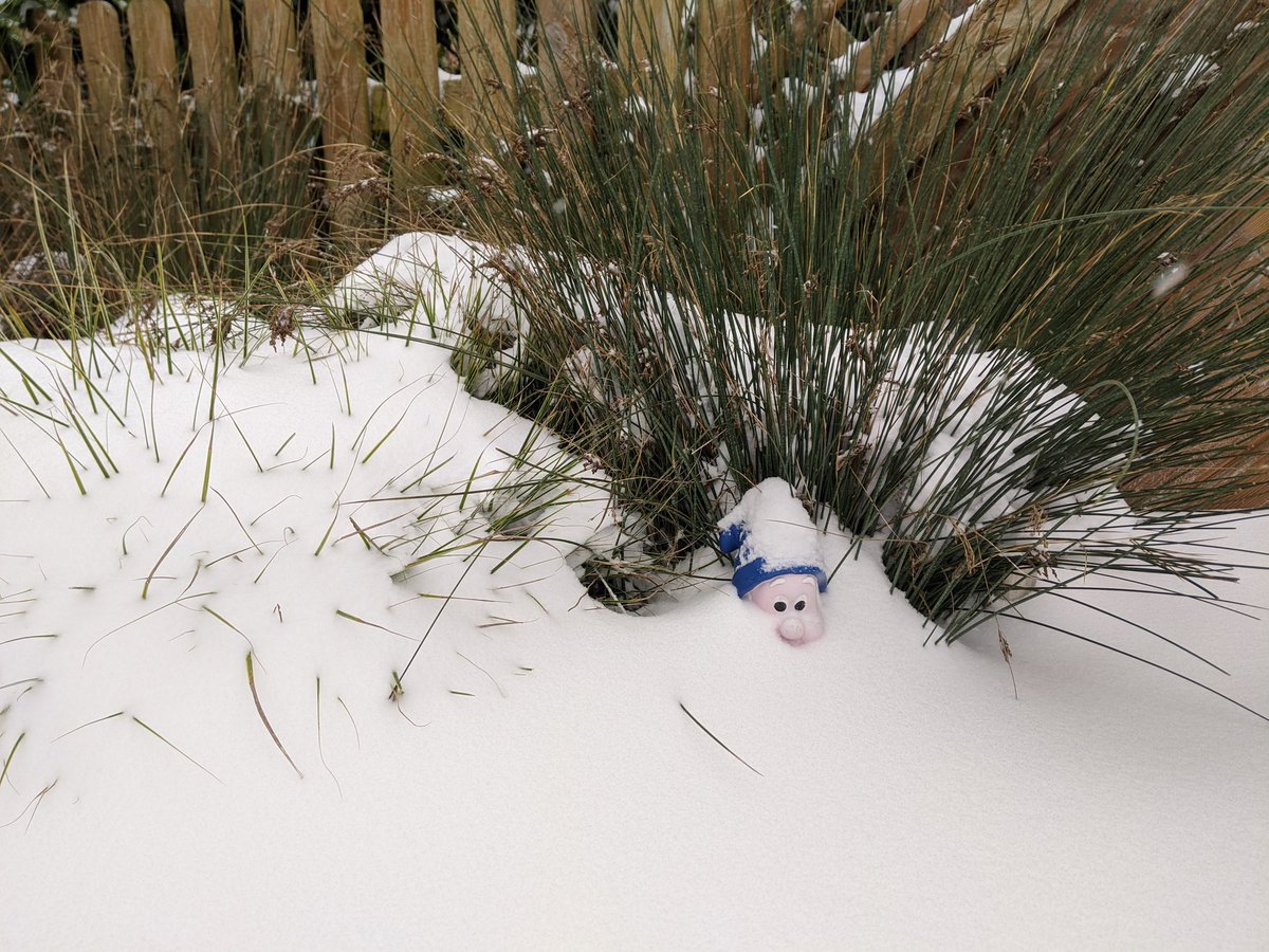 Kugelwillie's tweet photo. Symbolbild #S04 #Schalke https://t.co/srQUFjvuEv